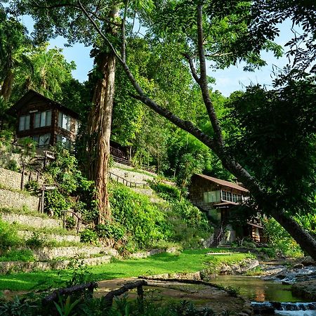 Phutarntree Resort 치앙마이 외부 사진
