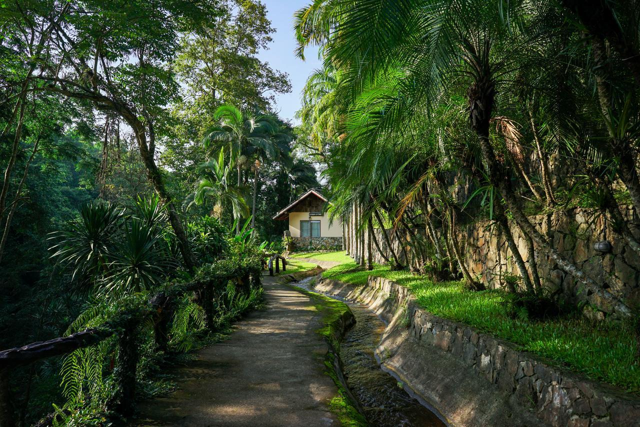 Phutarntree Resort 치앙마이 외부 사진