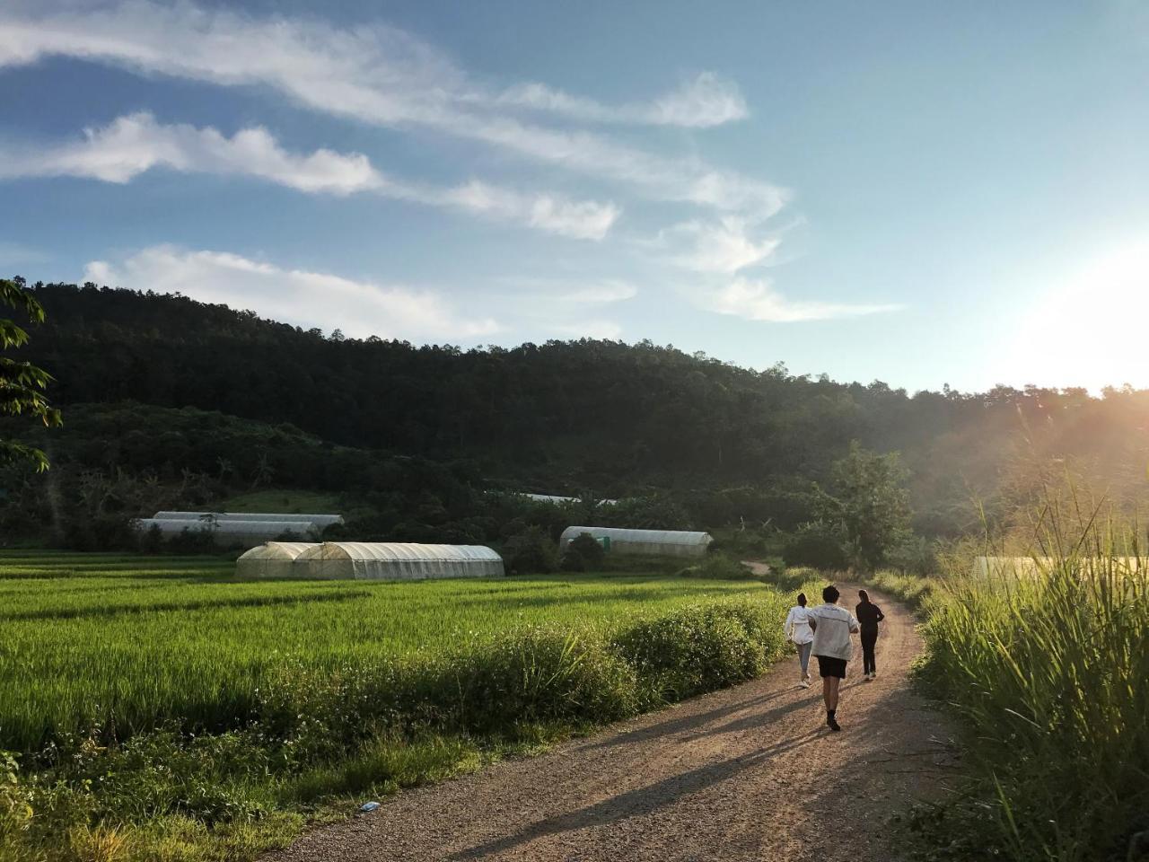 Phutarntree Resort 치앙마이 외부 사진