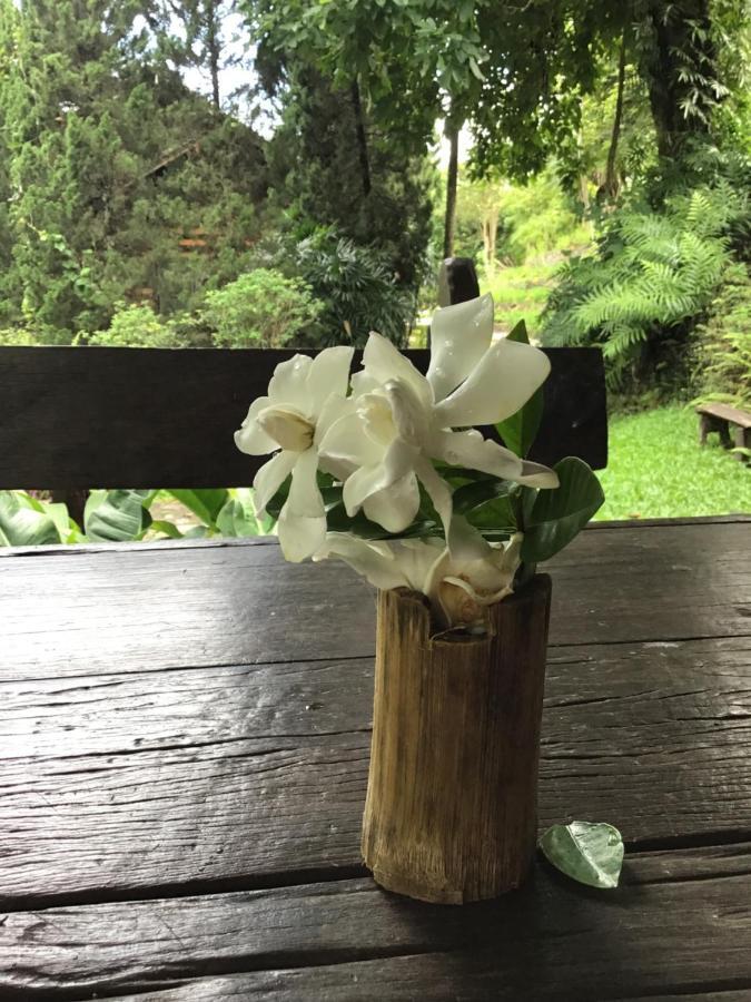 Phutarntree Resort 치앙마이 외부 사진